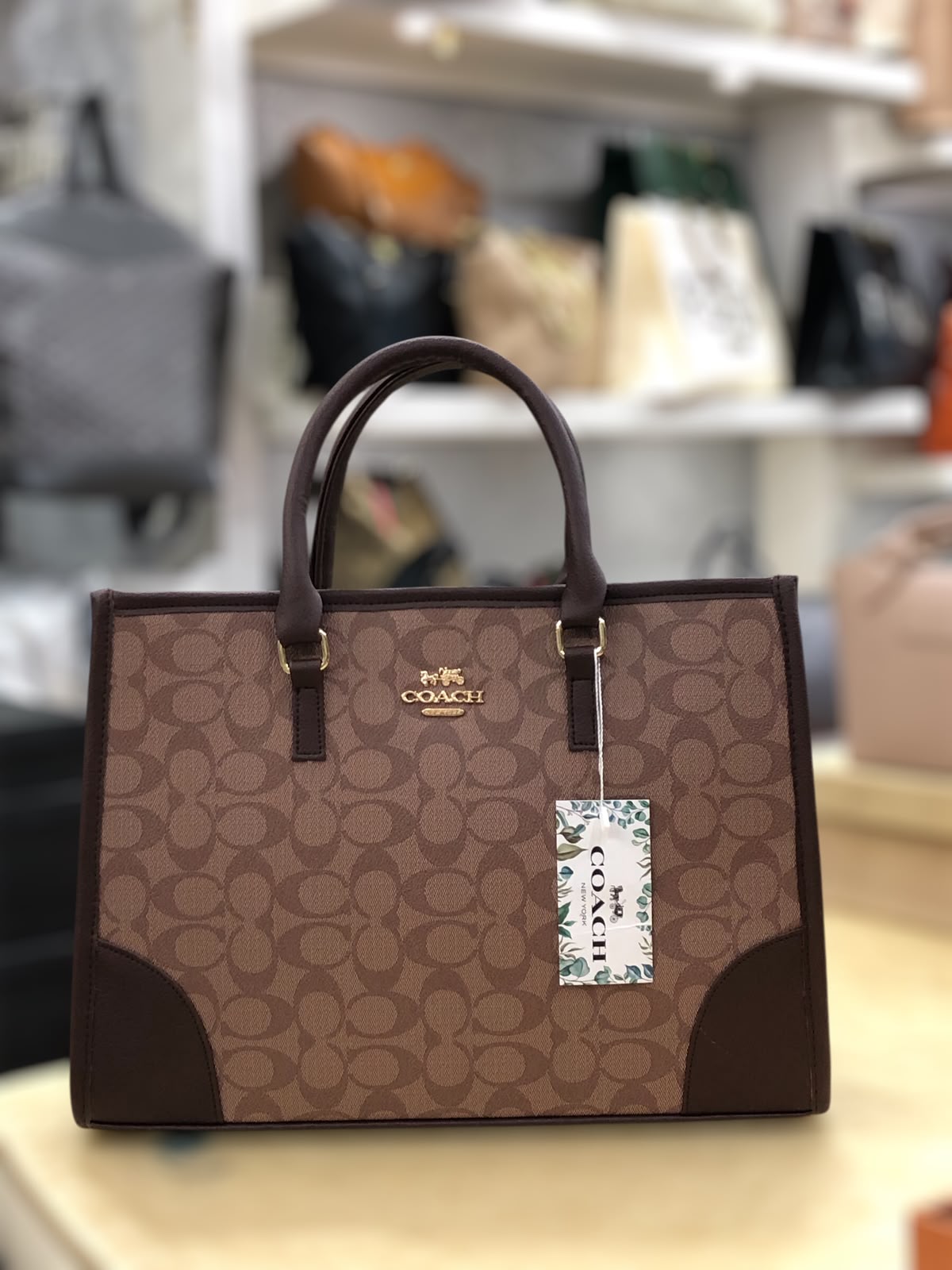 Coach Signature Print Tote Bag for Women with Double Top Handles and Spacious Everyday Carry Design - Beige
